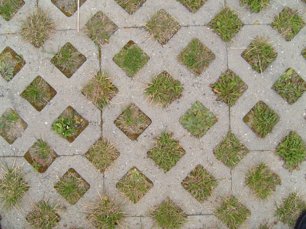 Grass Paver